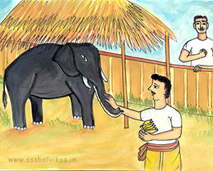 Keshav is jealous on seeing the elephant.