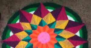 Day 12 : Alumni Special