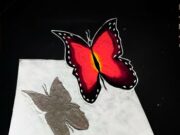 Day 28 : Nature’s Gifts