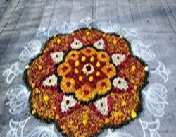 Divine Offering – Mahila Day 2025