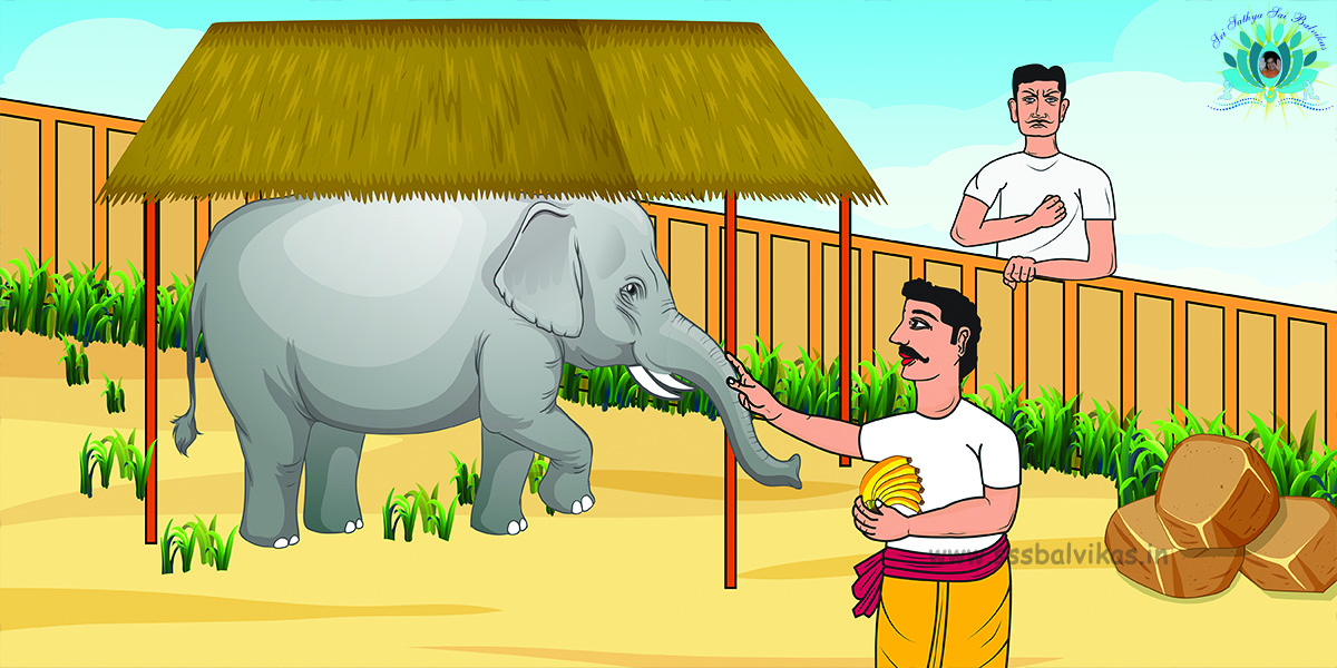 Keshav is jealous on seeing the elephant