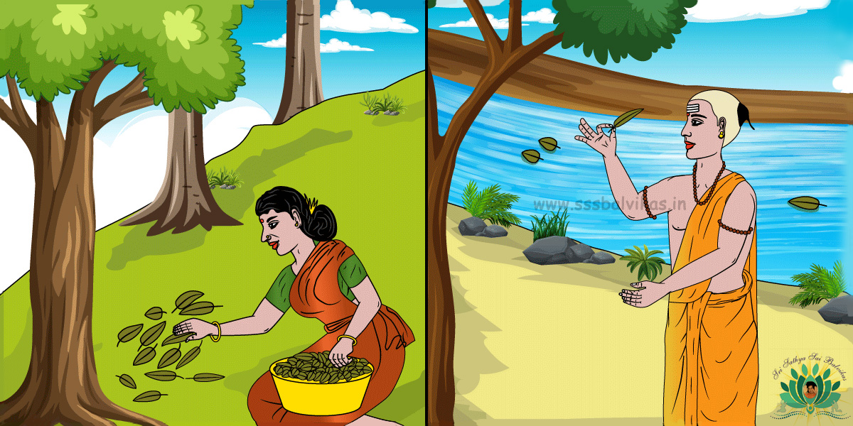 Lady collecting dry leaves for medicinal purpose - Dry leaves as a lifeboat for ant